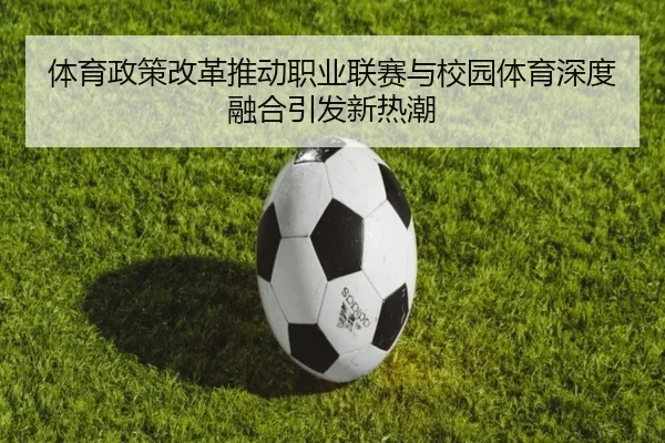 ti-yu-zheng-ce-gai-ge-tui-dong-zhi-ye-lian-sai-yu-xiao-yuan-ti-yu-shen-du-rong-he-yin-fa-xin-re-chao-2-140.jpg