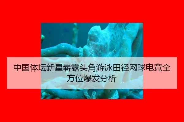 zhong-guo-ti-tan-xin-xing-zhan-lu-tou-jiao-you-yong-tian-jing-wang-qiu-dian-jing-quan-fang-wei-bao-fa-fen-xi-2-877.jpg